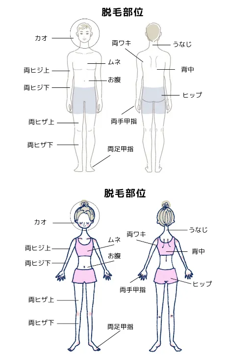 施術部位